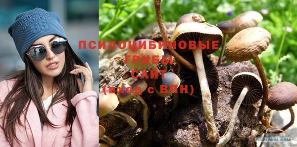 гидра Медногорск