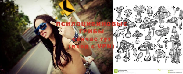 гидра Медногорск