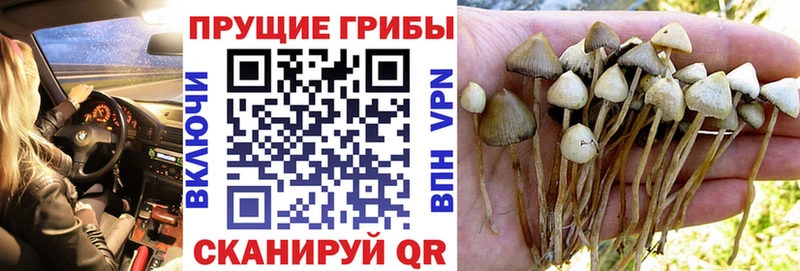 Псилоцибиновые грибы MAGIC MUSHROOMS  Купить  Верхнеуральск 